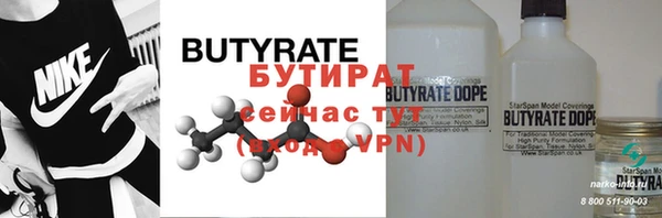 стаф Корсаков