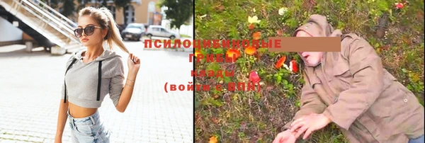винт Кинешма