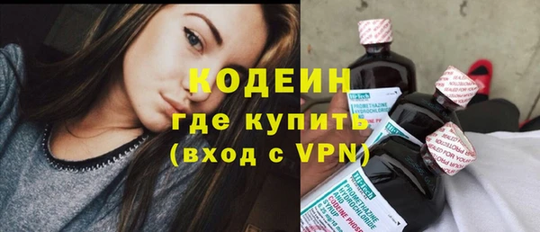 амф Козельск