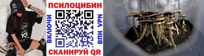 Купить закладки  Камбарка  Псилоцибиновые грибы GOLDEN TEACHER 